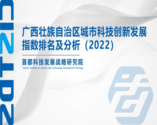 美女操逼淫荡网站【成果发布】广西壮族自治区城市科技创新发展指数排名及分析（2022）